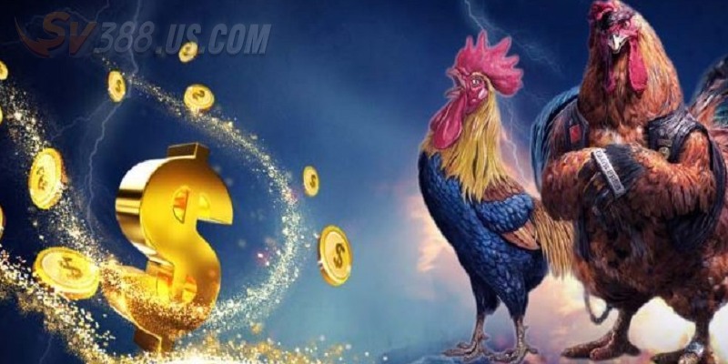 Sv388 Casino Thomo - Hấp Dẫn Ngay Từ Những Ván Đấu Kịch Tính Bí kíp chơi casino thomo được đúc kết từ chuyên gia