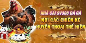 Đá Gà SV388 Asia - Nền Tảng Giải Trí Online Chuyên Nghiệp