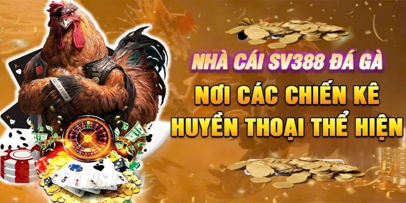 Đá Gà SV388 Asia - Nền Tảng Giải Trí Online Chuyên Nghiệp