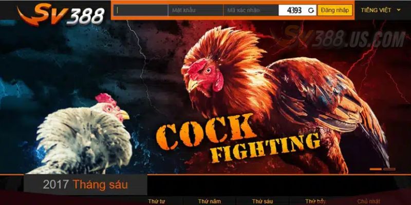 Đăng ký SV388 tạo account cực dễ