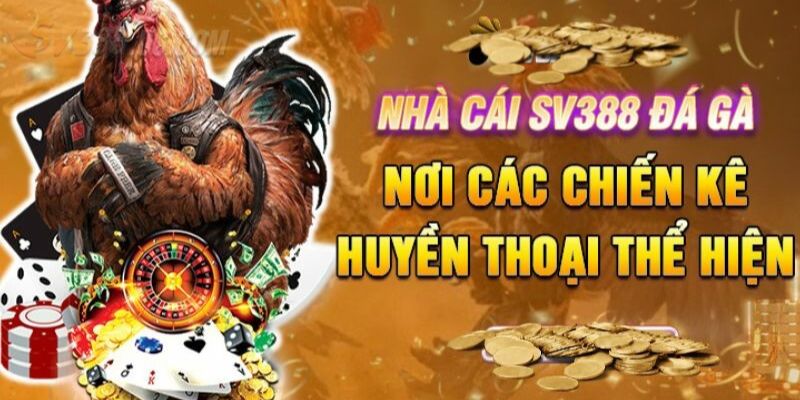 Điểm danh 3 lợi thế của SV388 trực tiếp gà đòn
