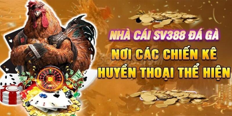 Nhà Cái Đá Gà SV388 | Gợi Ý Top 3 Loại Hình Hot Nhất Nên Thử