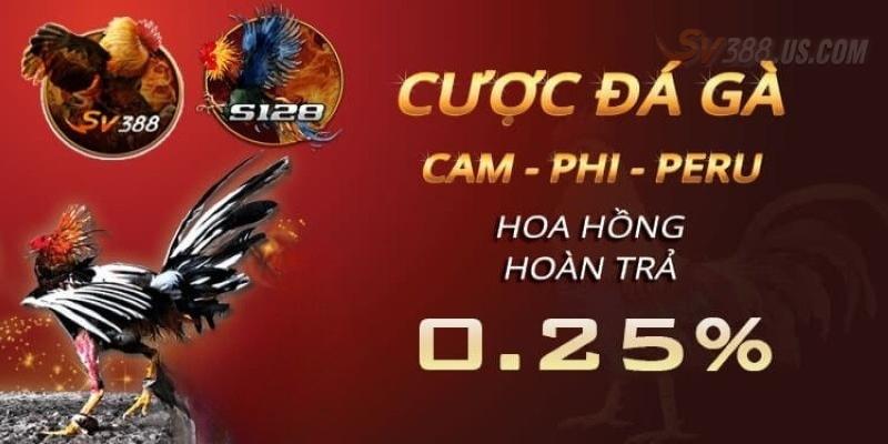 Gợi ý top 3 hình thức hot nhất
