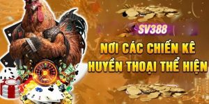 SV388 Casino Gà Đòn - Sân Chơi Rực Lửa Đình Đám Nhất Hiện Nay