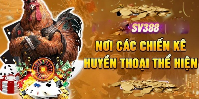 SV388 Casino Gà Đòn - Sân Chơi Rực Lửa Đình Đám Nhất Hiện Nay