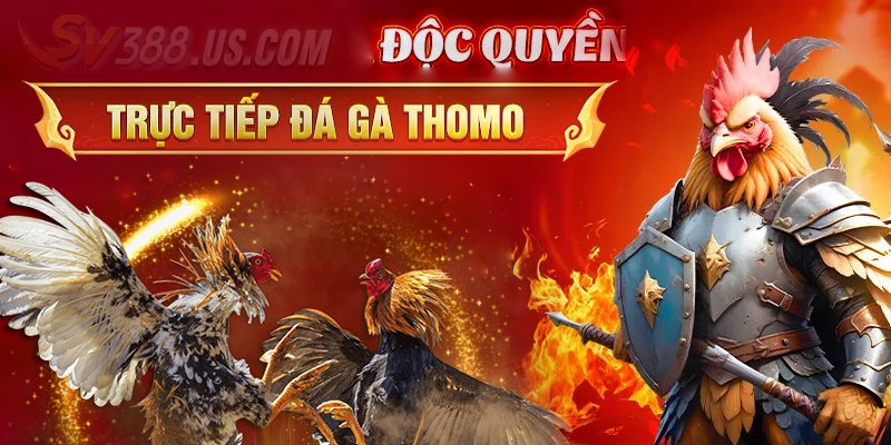 Sv388 Casino Thomo - Hấp Dẫn Ngay Từ Những Ván Đấu Kịch Tính SV388 casino thomo là gì?