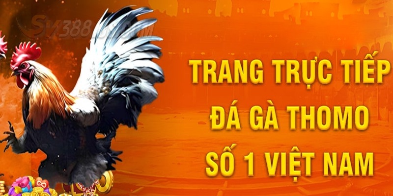 Sv388 Casino Thomo - Hấp Dẫn Ngay Từ Những Ván Đấu Kịch Tính Sv388 Casino Thomo - Hấp Dẫn Ngay Từ Những Ván Đấu Kịch Tính