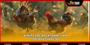 Cuoc da ga thang lon 1 11zon 1