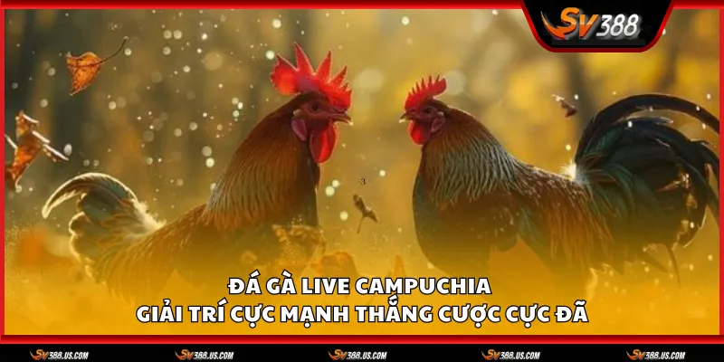 Da ga live Campuchia 1 11zon