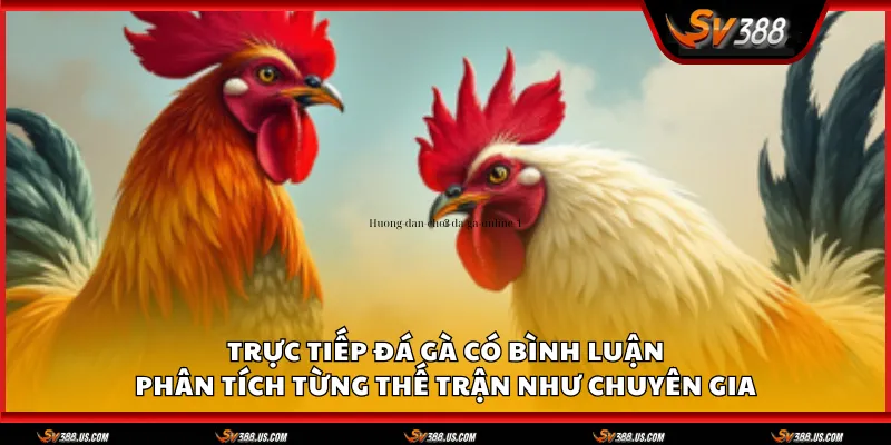 Da ga truc tiep co binh luan 1 11zon