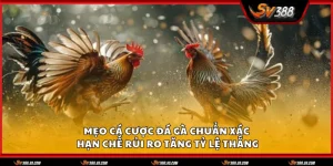 Meo ca cuoc da ga chuan xac 1 11zon