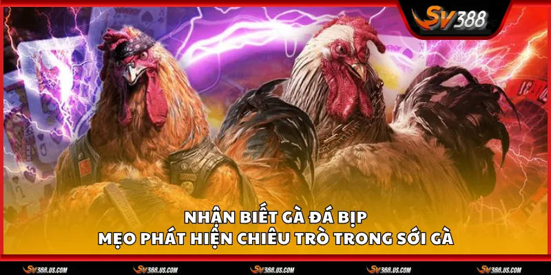 Nhan biet da ga bip 1 11zon