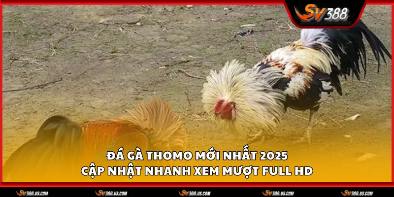 da ga thomo moi nhat 1 11zon