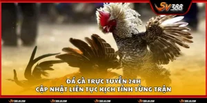 da ga truc tuyen 24h 1 11zon