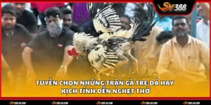 ga tre da hay 1 11zon