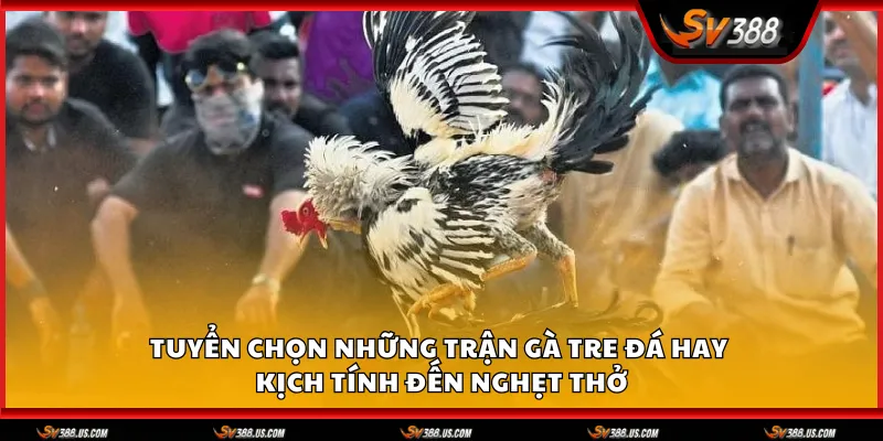 ga tre da hay 1 11zon