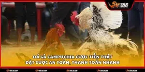 Da ga Campuchia cuoc tien that