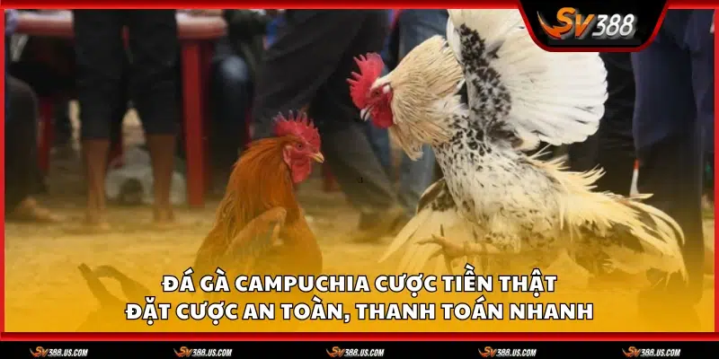 Da ga Campuchia cuoc tien that