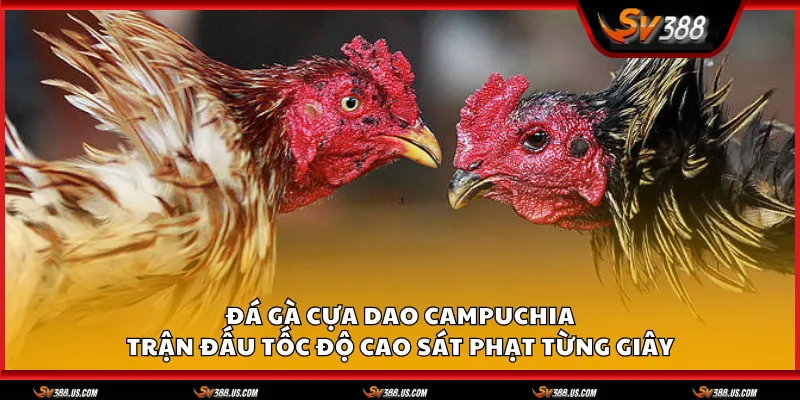 Da ga cua dao Campuchia 1 11zon