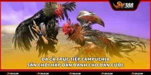 Da ga truc tiep Campuchia