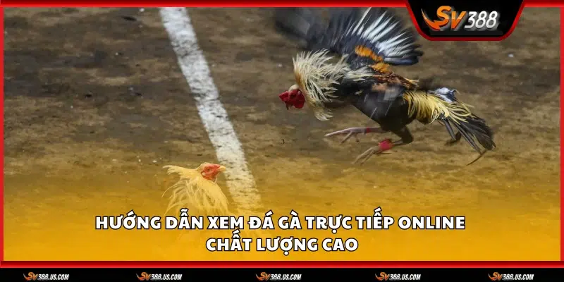 Da ga truc tiep online