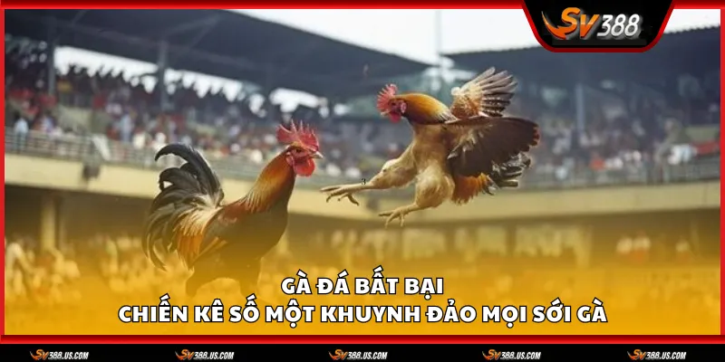 Ga da bat bai 1 11zon