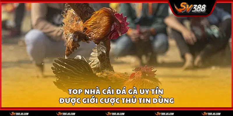 Nha cai da ga uy tin